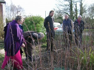 Community-Garden-Chapelgardenbefore1