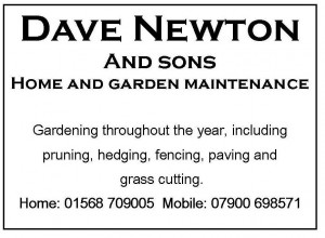 Dave-Newton