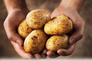 Vaughans-potatoes