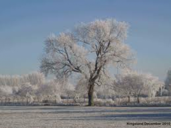 Winter Wonderland © Mr & Mrs L. Mitchell