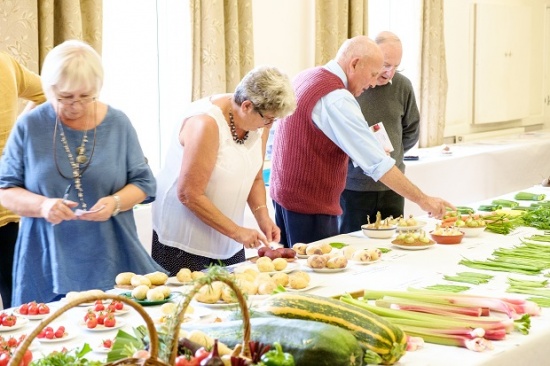 Vegetable judging